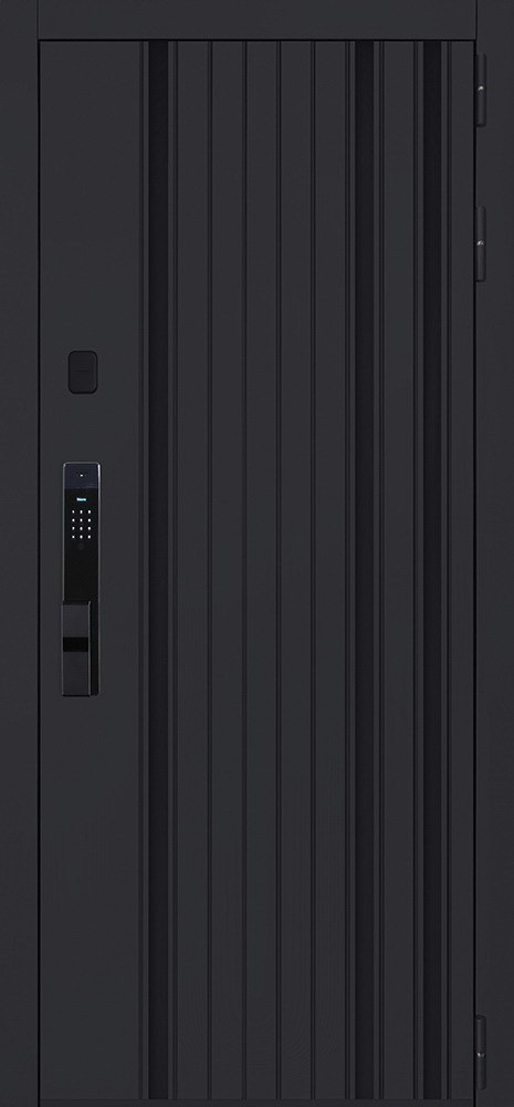 Стальная дверь "Solana" с зеркалом (биометрический замок Smart lock Y23)