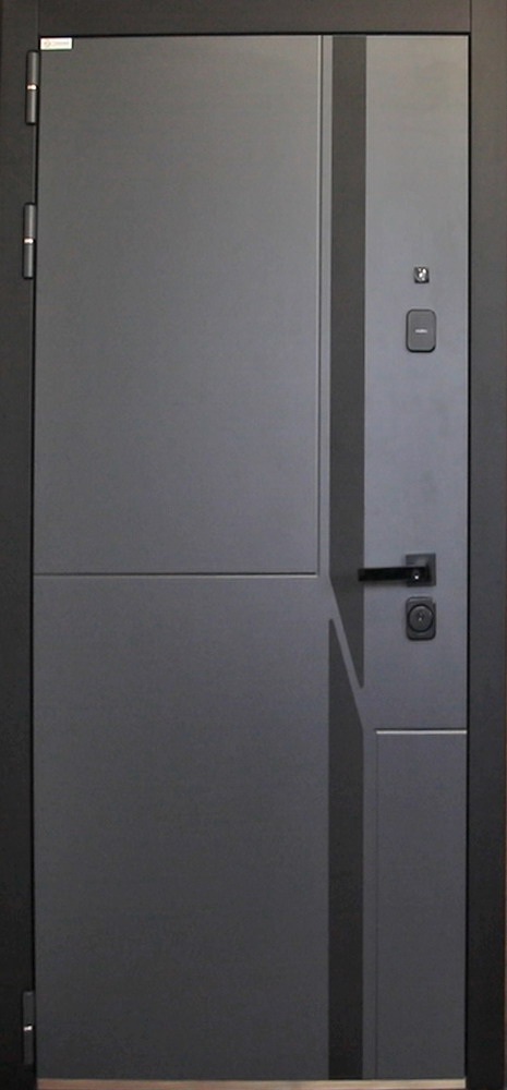 Стальная дверь "Storm" с зеркалом (биометрическая дверная ручка Smart lock T888). Заказная модель.